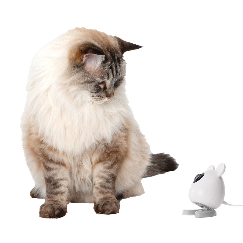Catit, PIXI Smart Mouse Camera image number null