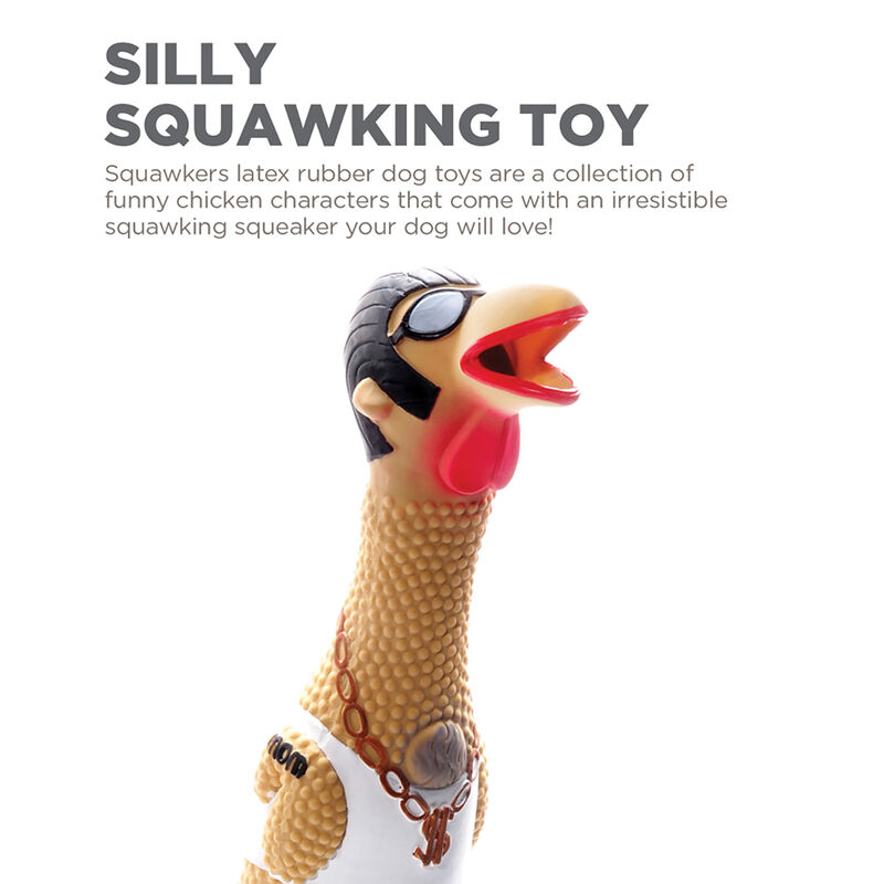 Outward Hound, Squawkers Earl - Large image number null