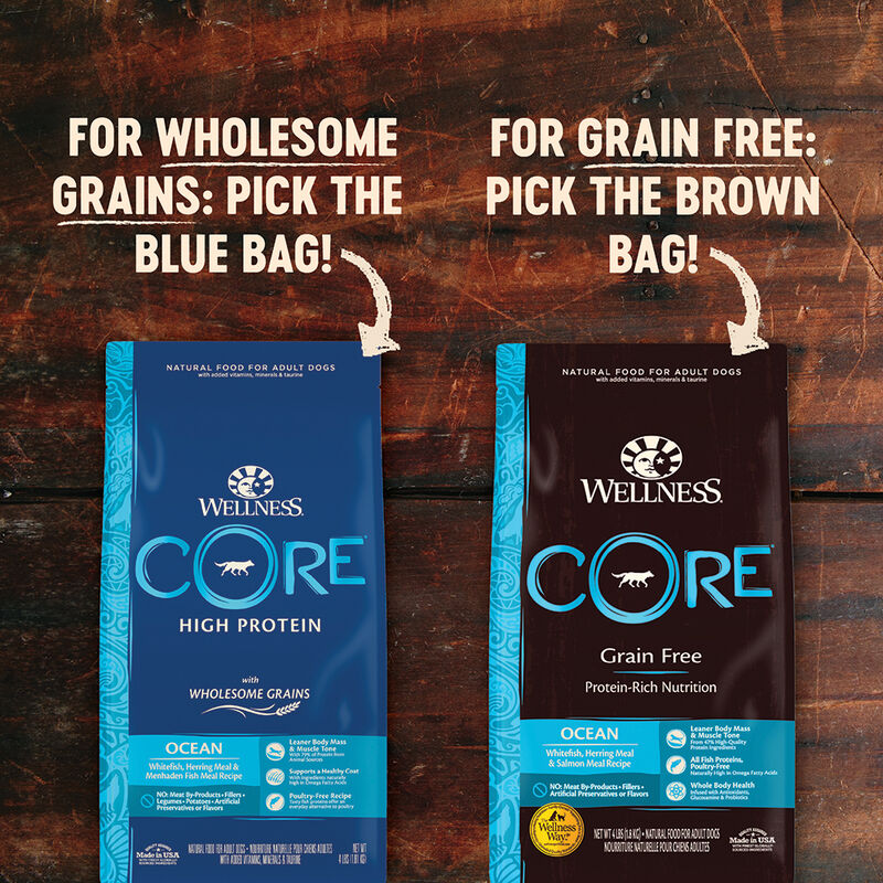 Wellness, Core, Grain Free Ocean - Dry Dog Food image number null