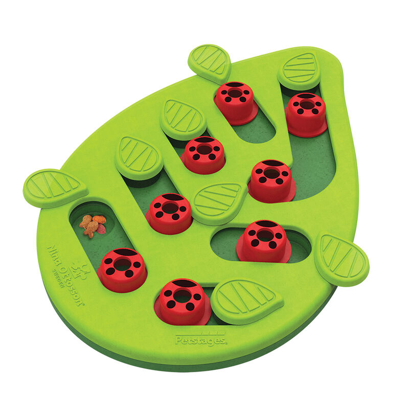 PetStages, Puzzle & Play Buggin Out - Green image number null