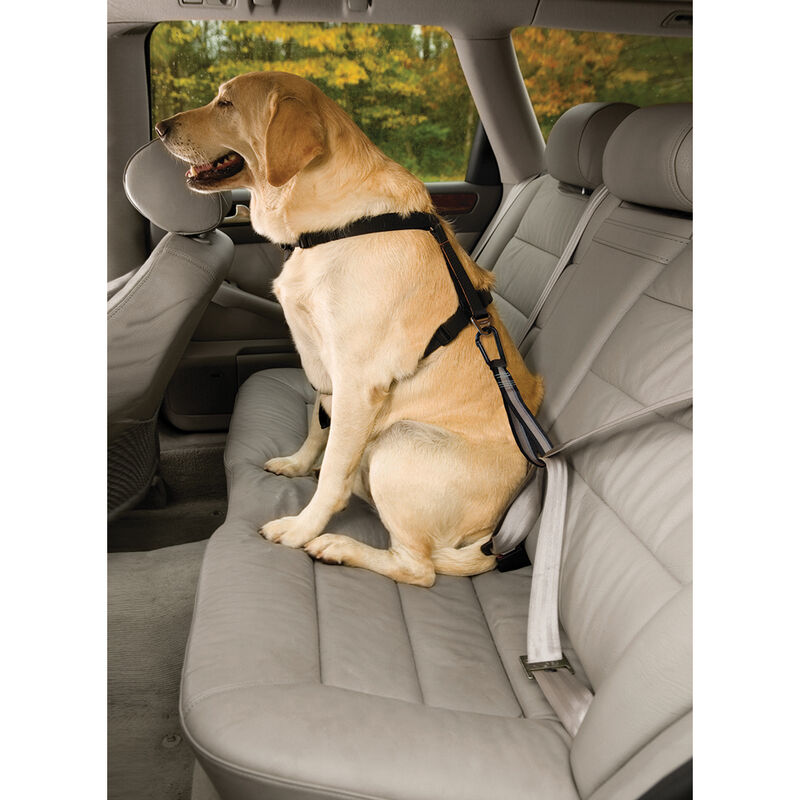 Kurgo, Seatbelt Tether with Carabiner image number null