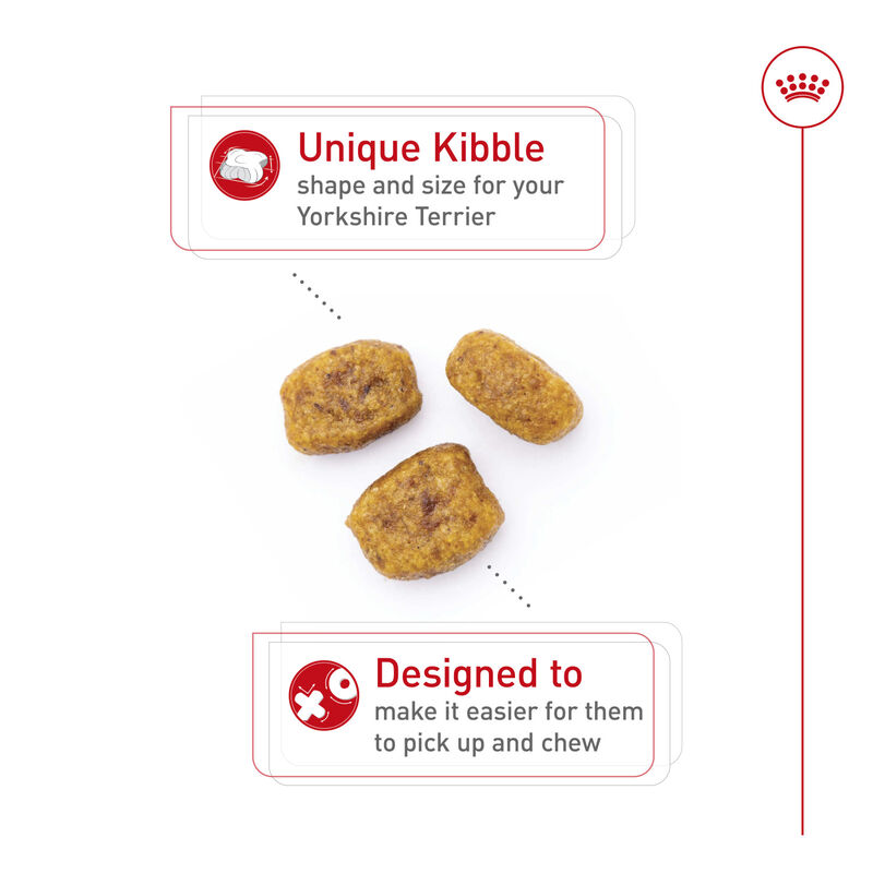 Royal Canin, Breed Health Nutrition Yorkshire Terrier Adult - Dry Dog Food image number null