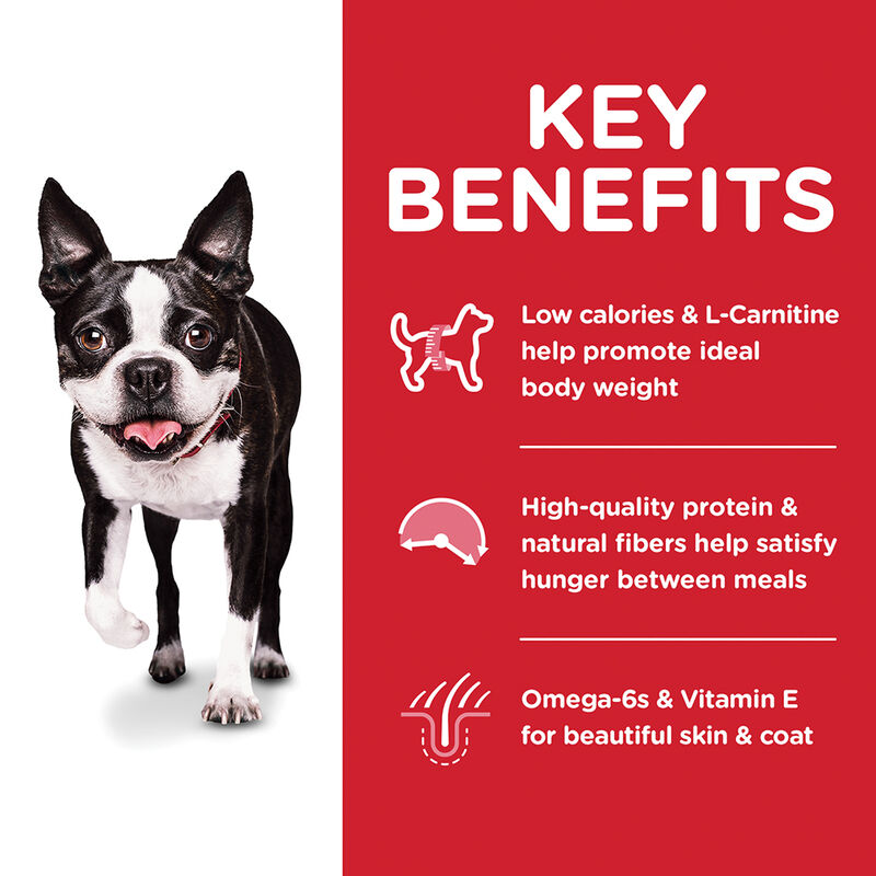 Science Diet, Adult Light Small Bites with Chicken Meal & Barley Dry Dog Food for healthy weight man image number null