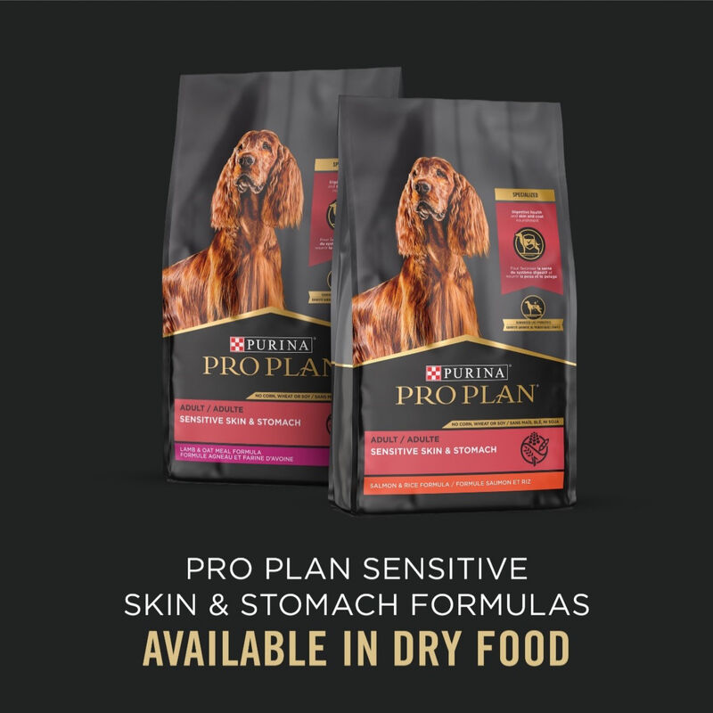 Purina Pro Plan Adult Sensitive Skin & Stomach Salmon & Rice Dry Dog Food – 40lb Bag