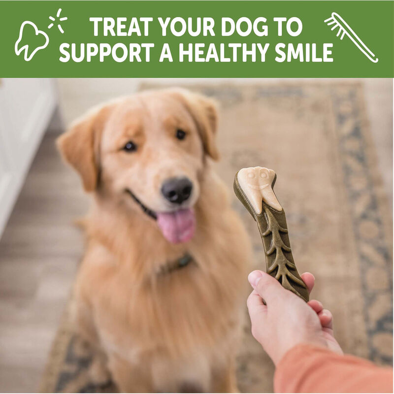 Whimzees, Dental Treat, Toothbrush Star Value Pouch - L-6 Pc image number null