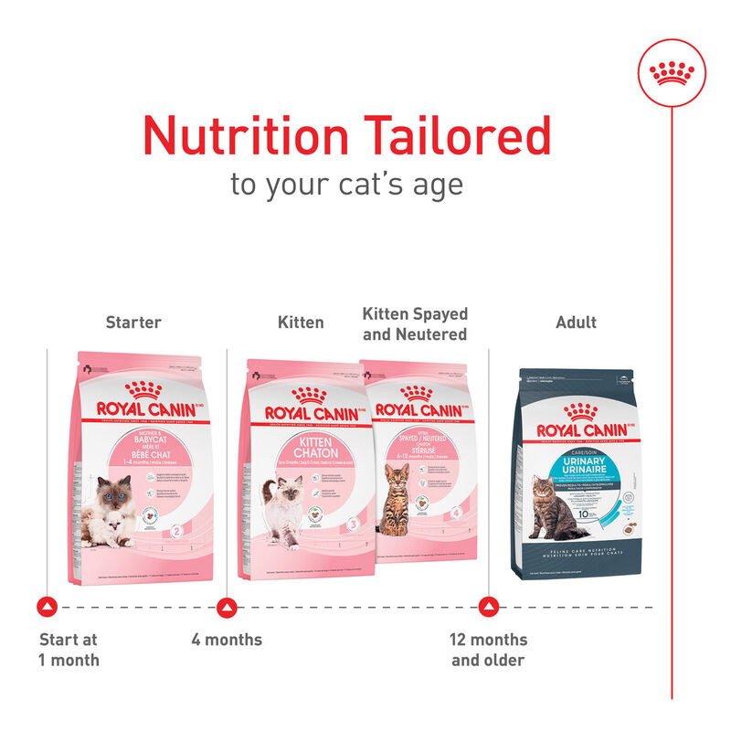 Royal Canin, Feline Health Nutrition - Mother & Babycat - Dry Cat Food image number null