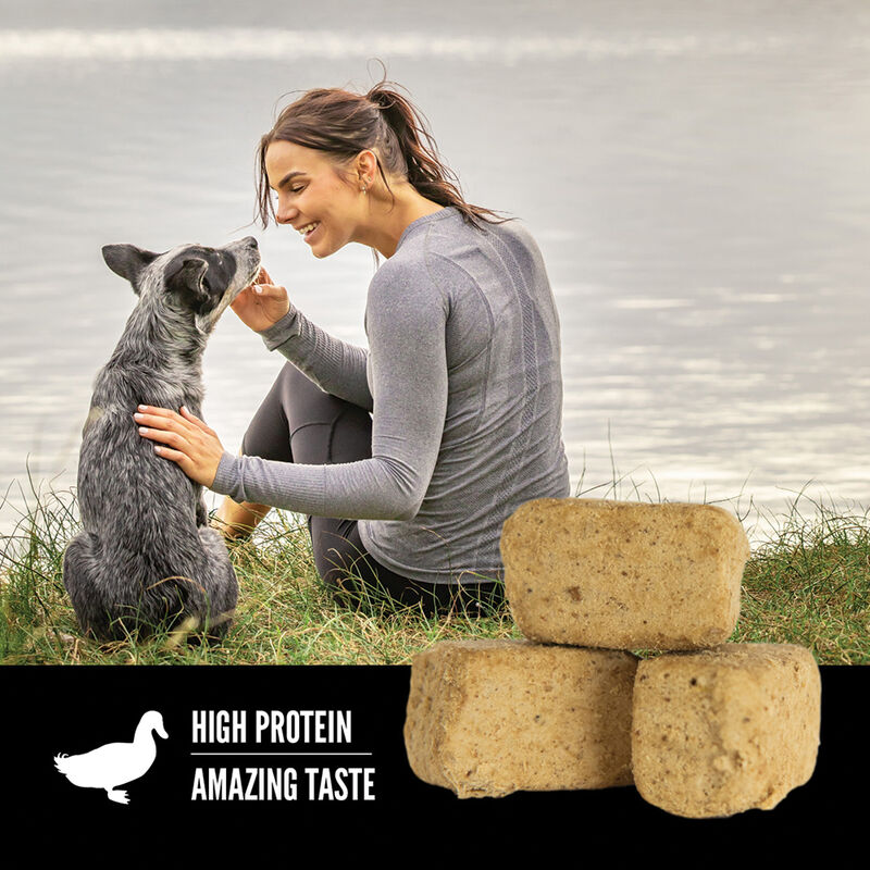 Orijen, Freeze Dried Dog Treat - Free-Run Duck - Freeze Dried Dog Treat image number null