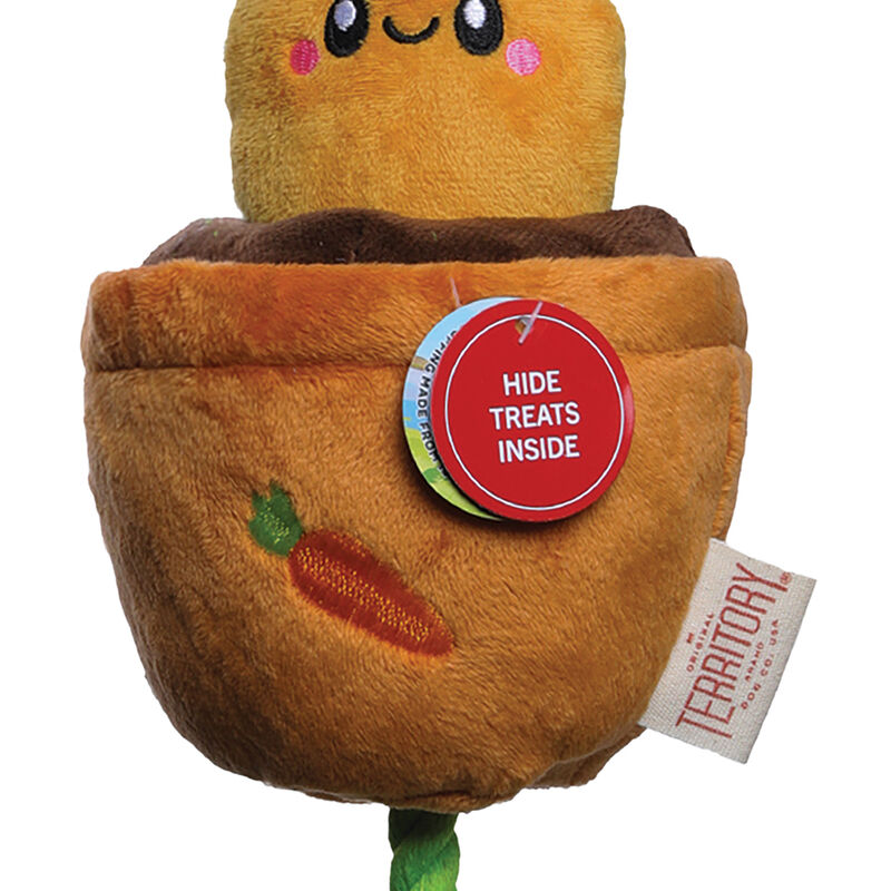 Territory, Carrot Treat & Tug Toy image number null