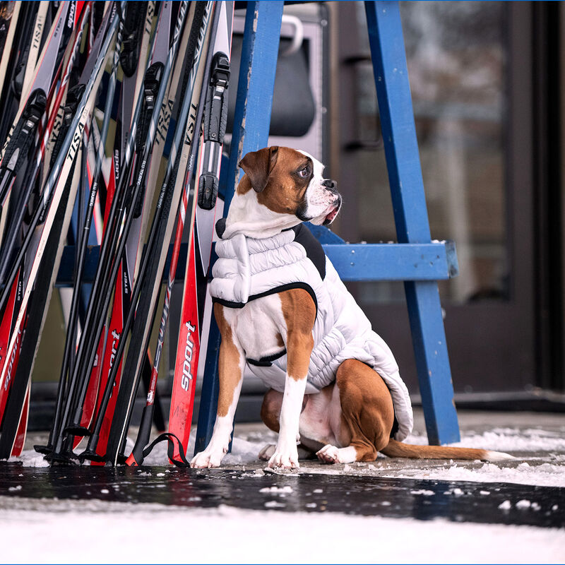 GF Pet, Diamond Puffer - Grey image number null