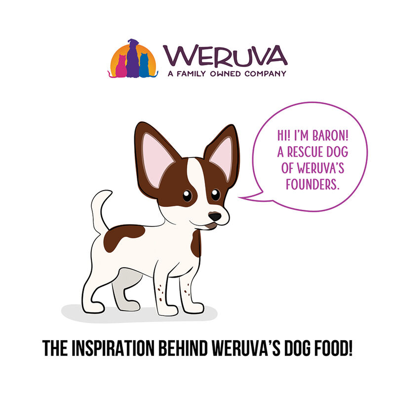 Weruva, Can,Adult - Pooch Party Pack - 80 g - 12 pk - Minced - Wet Dog Food image number null