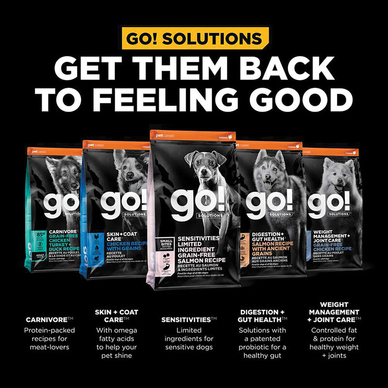 GO! SOLUTIONS, SENSITIVITIES Small Bites Limited Ingredient Grain Free Salmon recipe for dogs - Dry  image number null