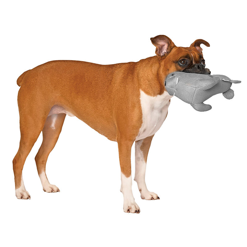Canada Pooch, Freeze and Chill Cooling Pal Toys Grey Walrus image number null