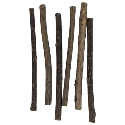 Zoom Pets, Matatabi Sticks - Cat Toy