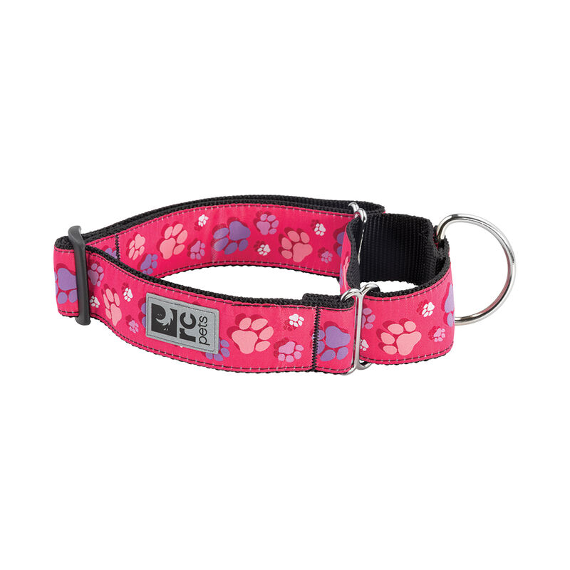 RC Pets, All Webbing Training Collar - Fresh Tracks Pink - Dog Collar image number null
