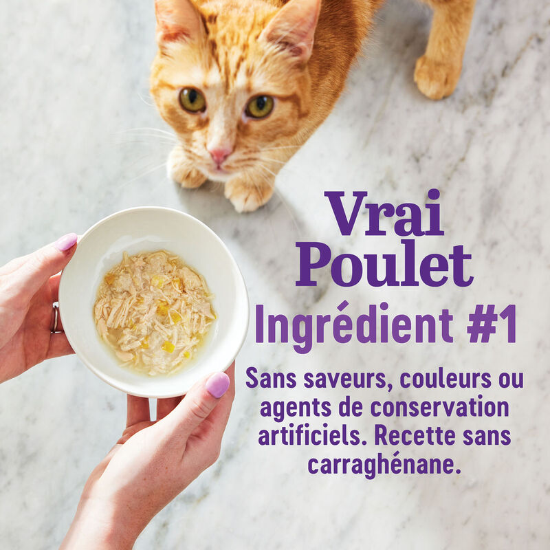 Wellness, Appetizing Entr&eacute;e - Shredded Chicken Recipe in Sauce - Wet Cat Food image number null