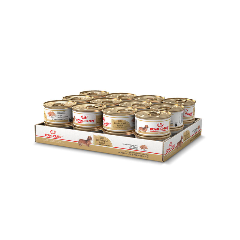Royal Canin, Pouch, Adult - Dachshund - 85 g - Wet Dog Food image number null