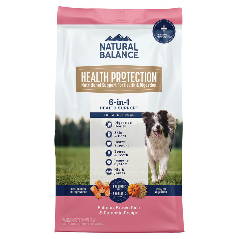 Natural Balance, Health Protection - Real Salmon, Brown Rice & Pumpkin Recipe - Dry Dog Food image number null