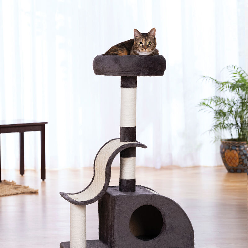 Prevue, Cool Wave Fun House Cat Post image number null