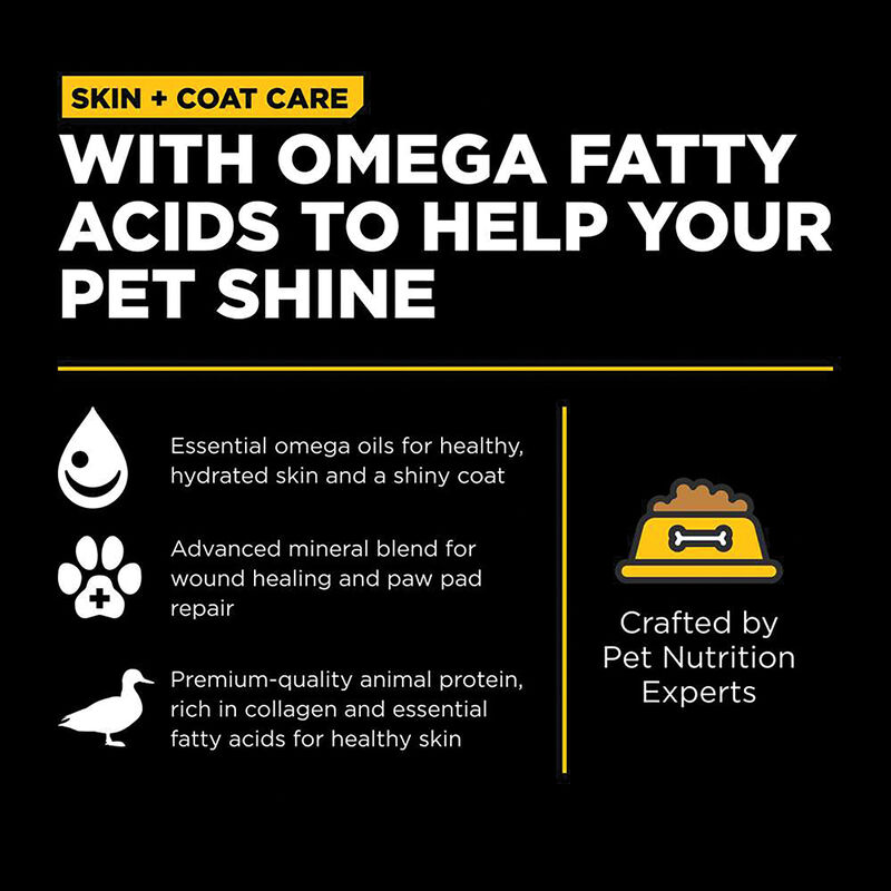 GO! SOLUTIONS, SKIN + COAT CARE Duck Recipe with Grains for dogs - Dry Dog Food image number null