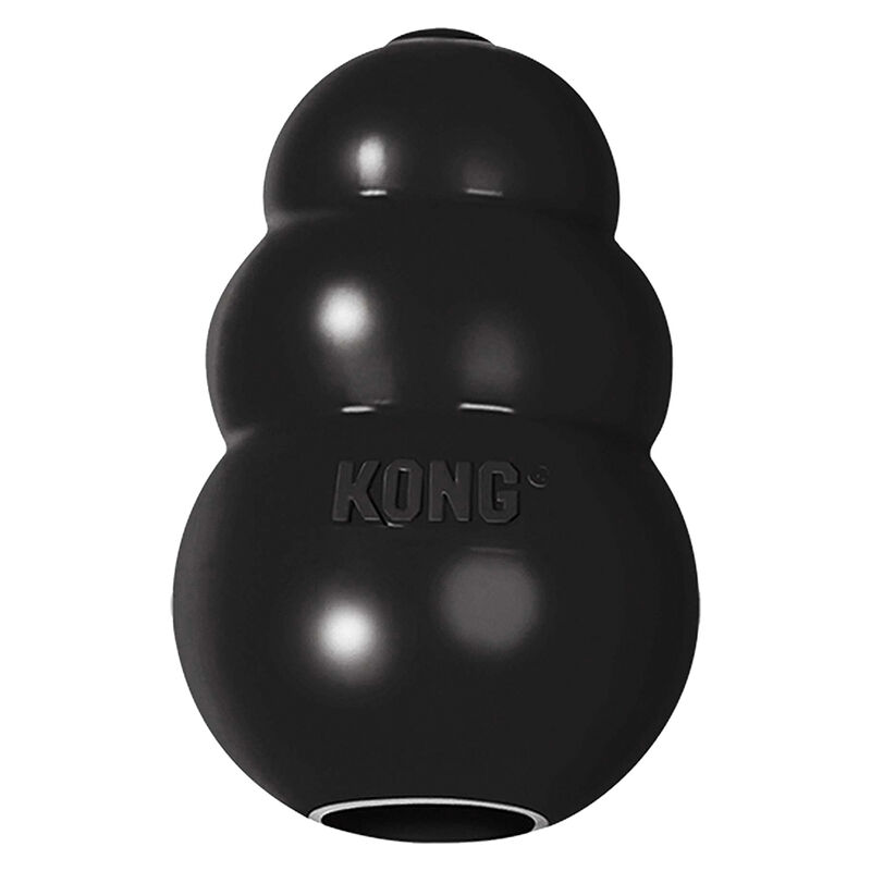 KONG, Extreme - BlacK - Chew Dog Toy image number null