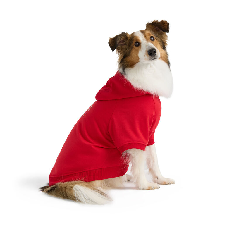 Nautica Hoodie - Red  image number null