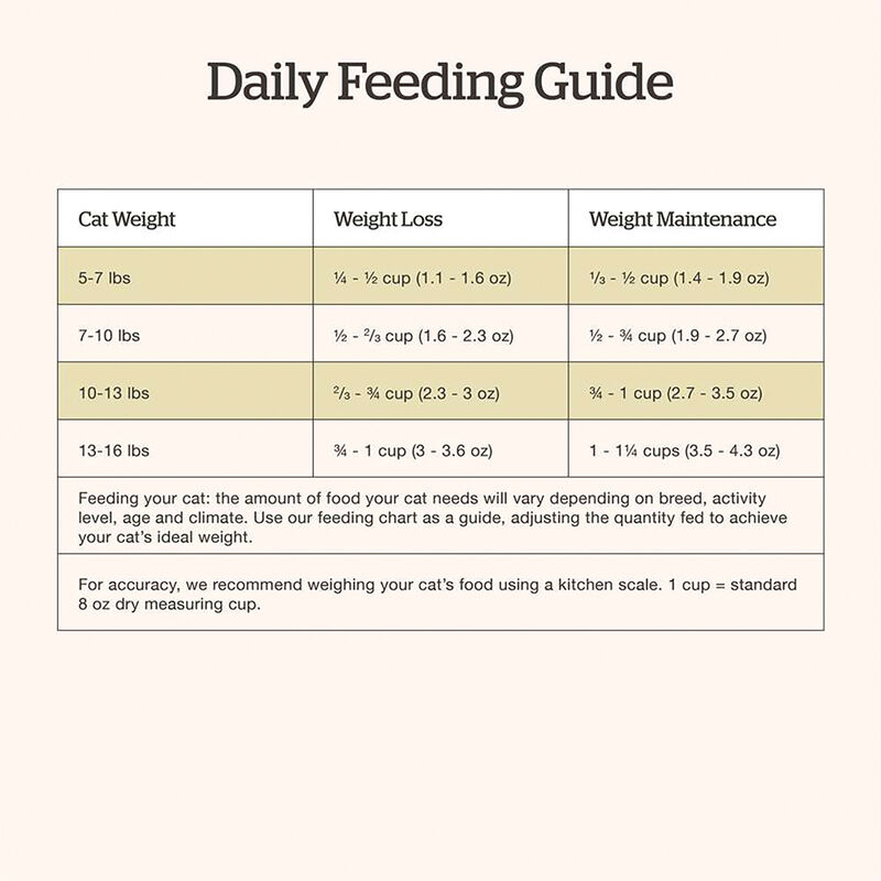 NOW FRESH, Feline Adult Grain Free - Dry Cat Food image number null
