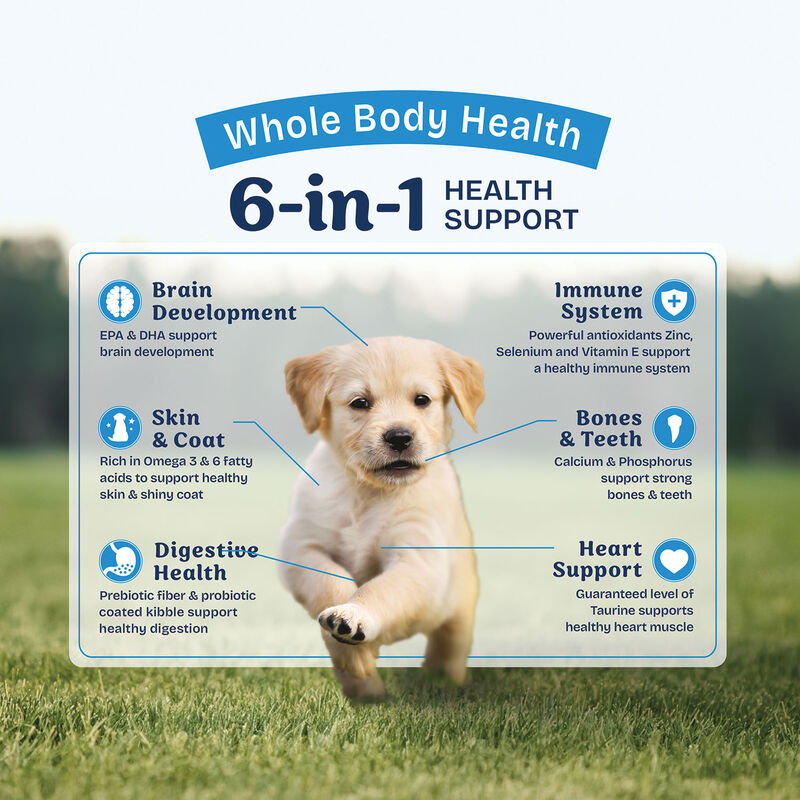 Natural Balance, Health Protection Puppy - Real Chicken, Brown Rice & Pumpkin Recipe - Dry Puppy Foo image number null