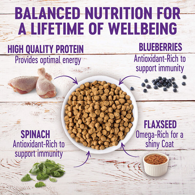 Wellness, Puppy Large Breed - Chicken, Salmon & Brown Rice - 13.6kg - Dry Dog Food image number null