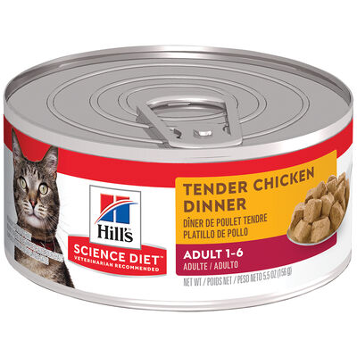 Science Diet, Adult Tender Chicken Dinner Canned Cat Food, 5.5 oz - Wet Cat Food
