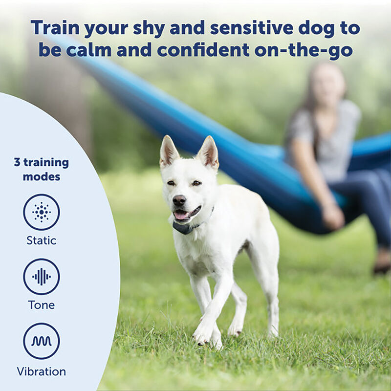 PetSafe, 600 m Lite Remote Trainer - 2 dogs image number null