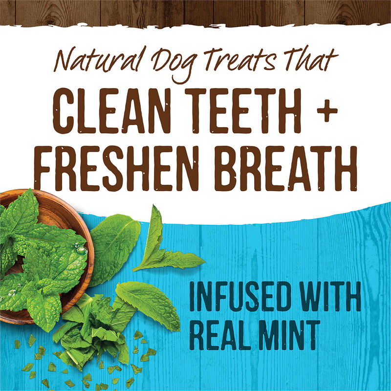 Merrick, Fresh Kisses Brush - Mint - Dog Treat image number null