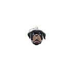 Adult Rottweiler image number null