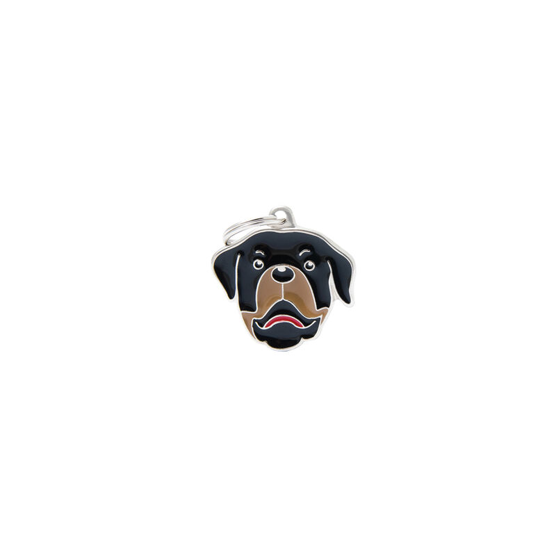 Adult Rottweiler image number null