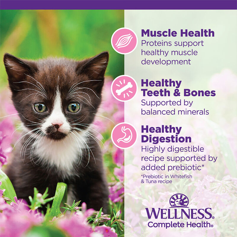 Wellness, Canned Cat Food, Complete Health, Kitten - 3 oz - Wet Cat Food image number null