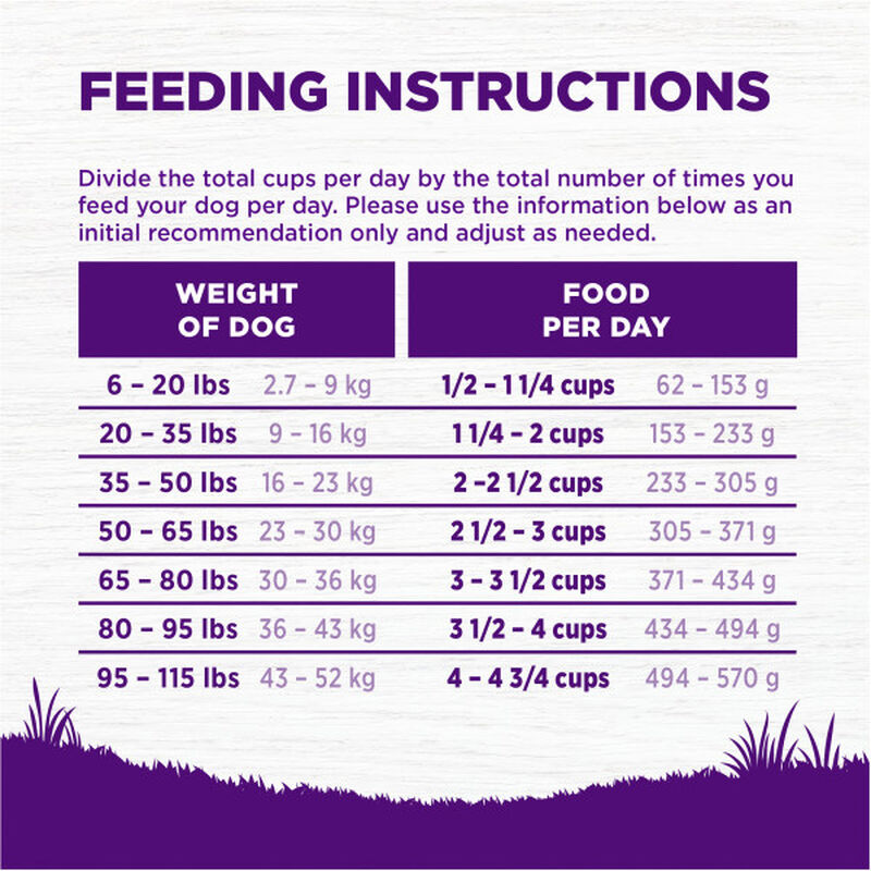 Wellness, Adult Complete Health - Deboned Chicken & Oatmeal - 11.8 kg - Dry Dog Food image number null