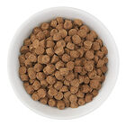 Feline Adult -  Herring & Salmon image number null