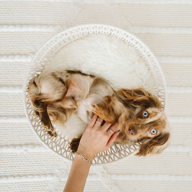 BeOneBreed, Rope Basket - Cream image number null