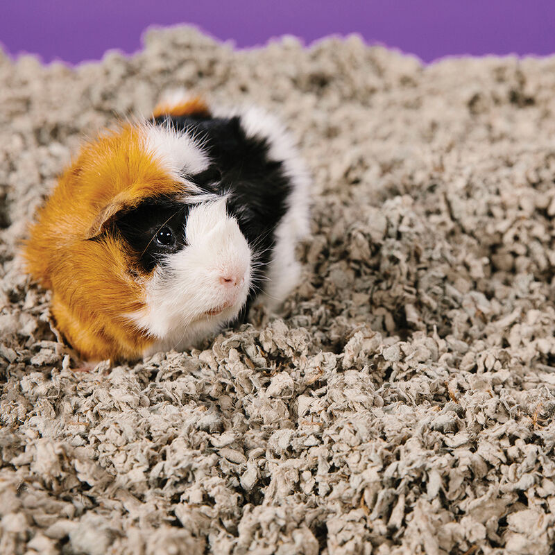 CareFRESH, Natural Pet Bedding image number null