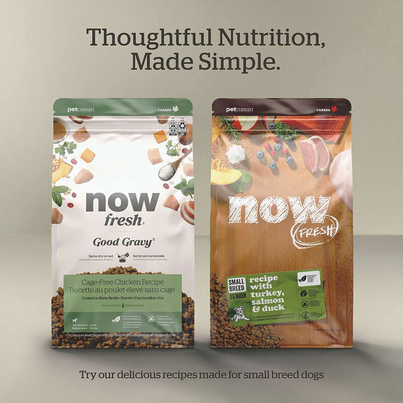 NOW FRESH, Adult GF Small Breed - Dry Dog Food image number null