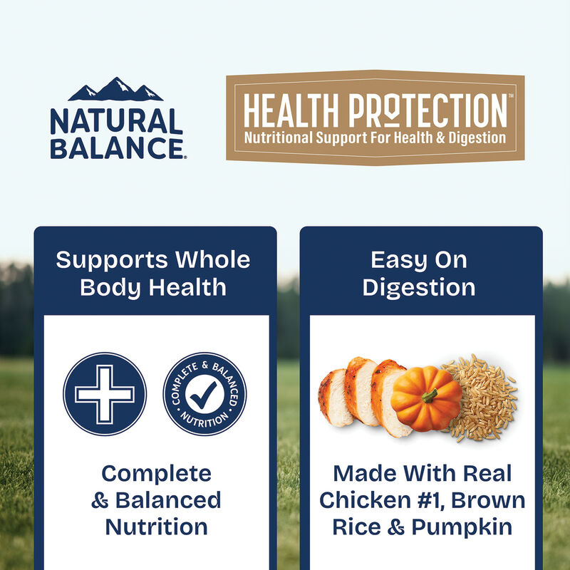 Natural Balance, Health Protection - Chicken & Pumpkin Stew - Wet Dog Food image number null