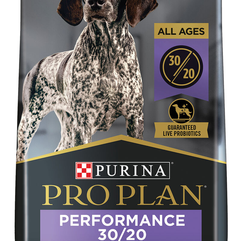 All Life Stages Sport 30/20 Salmon & Rice 15 kg image number null