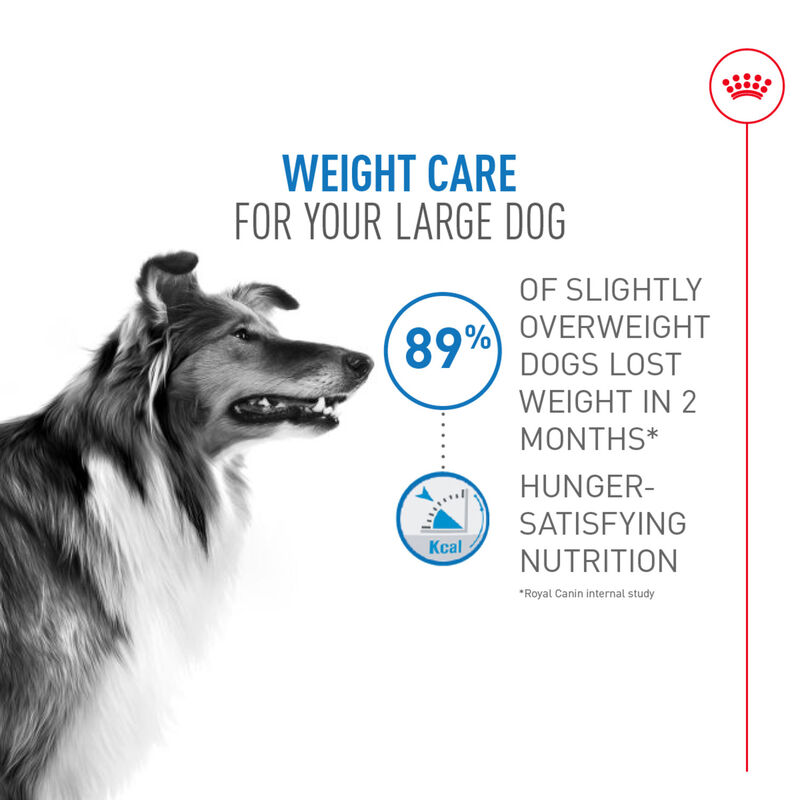 Royal Canin, Size Health Nutrition Large Weight Care - Dry Dog Food image number null