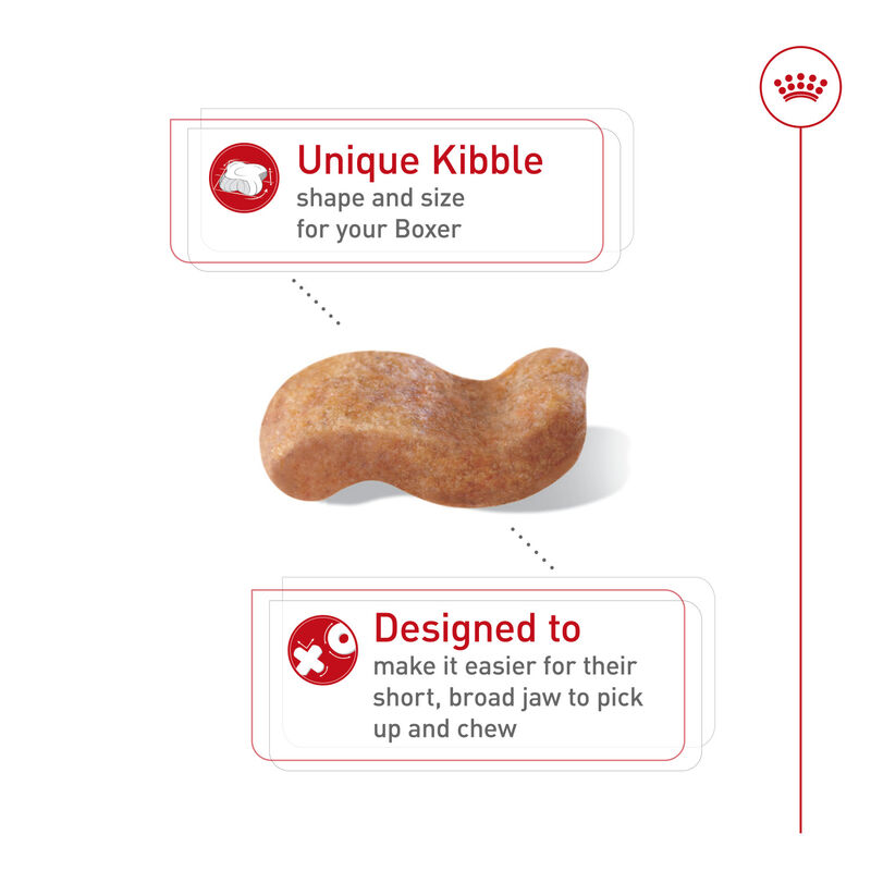 Royal Canin, Breed Health Nutrition Boxer Adult - Dry Dog Food image number null