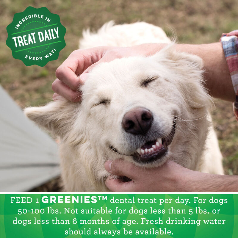 Greenies, Dental Chews Large - Dog Treat image number null