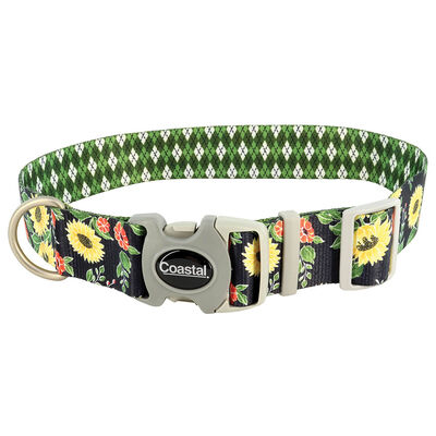 Adjustable Dog Collar, Sunflower with Green Argyle, Medium - 1" x 12"-18"