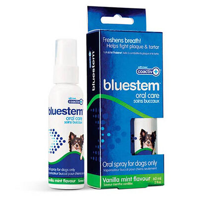 Bluestem, Dental Spray - Vanilla Mint - 60ml