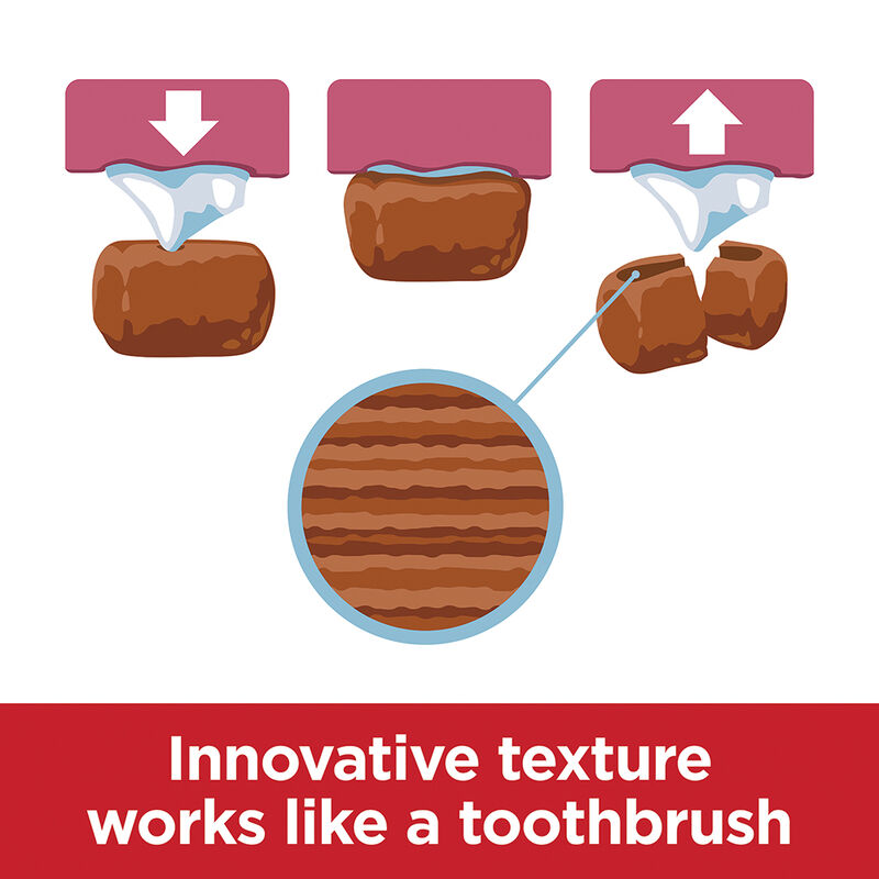 Science Diet, Adult - Small & Mini Breed, Oral Care - Dry Dog Food image number null