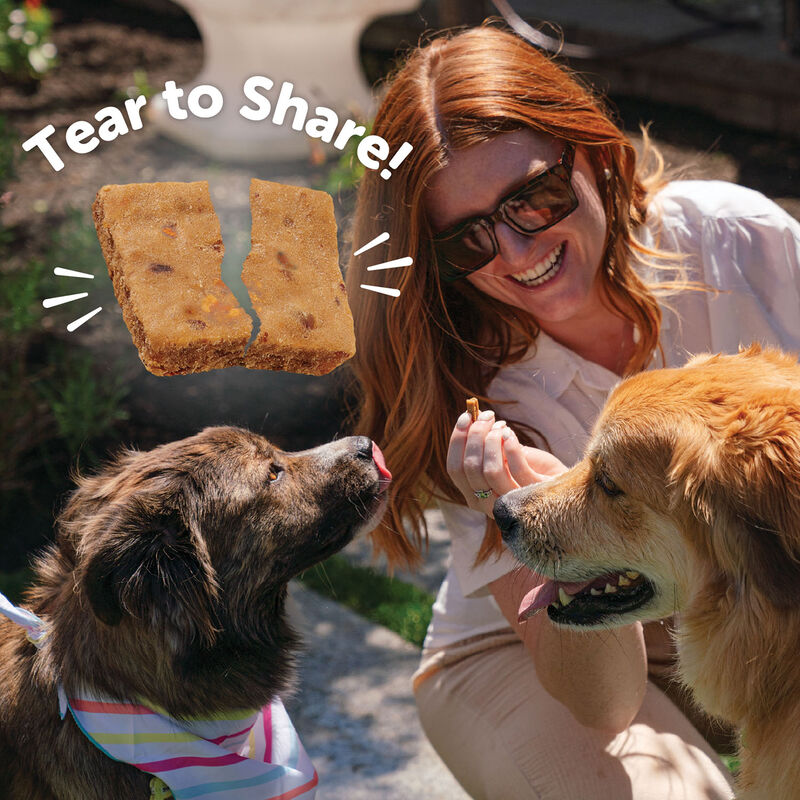 Wellness, Wellbites, Turkey & Duck Soft Dog Treats - 6 oz - Dog Treat image number null