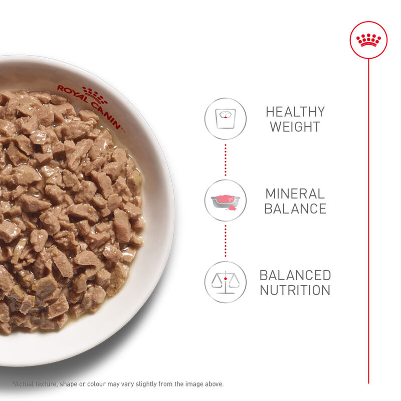 Can, Feline Spayed Neutered - Thin Slices - 85 g image number null