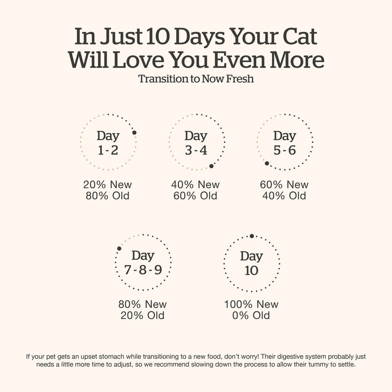 Good Gravy - Chicken Coated in Bone Broth - Dry Cat Food image number null